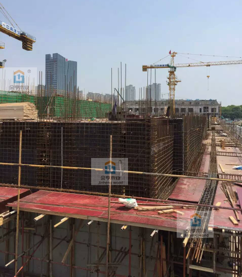 金亨木業(yè)有限公司建筑模板