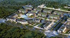 金亨木業建筑模板--中信金盞28#地工程